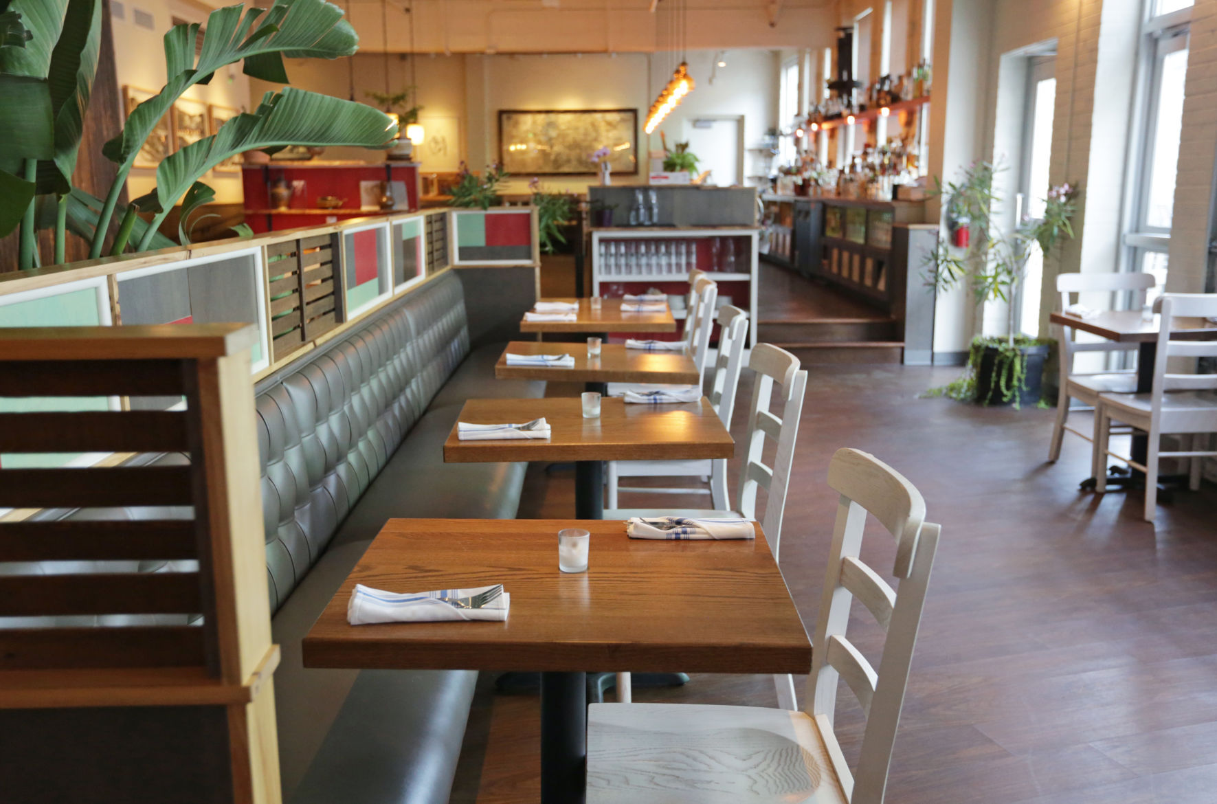 Jardin interior